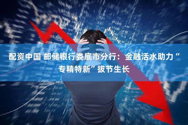 配资中国 邮储银行娄底市分行：金融活水助力“专精特新”拔节生长