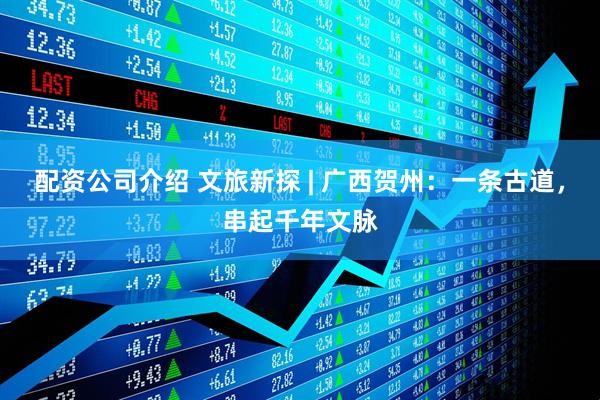 配资公司介绍 文旅新探 | 广西贺州：一条古道，串起千年文脉
