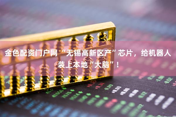 金色配资门户网 “无锡高新区产”芯片，给机器人装上本地“大脑”！